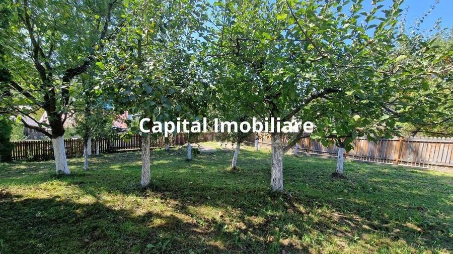 Vila spa?ioasa 5 dormitoare, Provita de Jos - 5