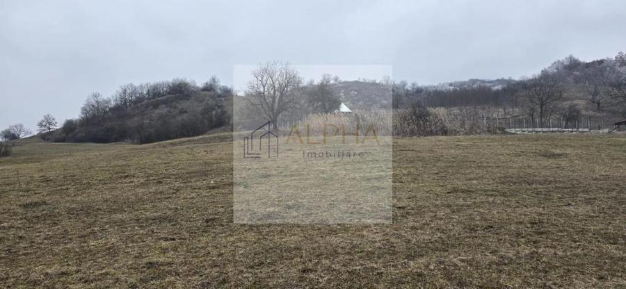 Teren Intravilan la Intrare in Ghinda - 3 parcele de cate 15 arii - 3