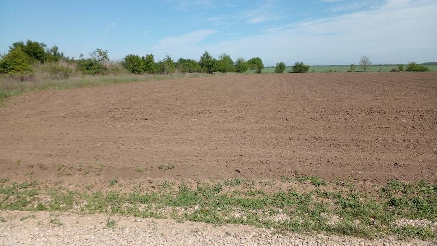 Teren Construcții extravilan de 4881 mp, în Corbeanca - 10