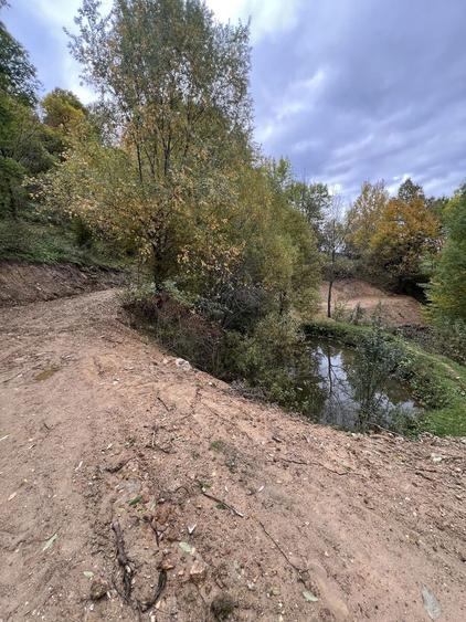 Teren de vanzare-Muntele Rece - 7