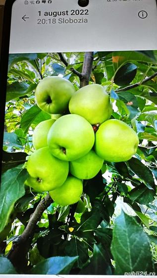 Casa de vanzare, in Slobozia, cartierul Peri - 8