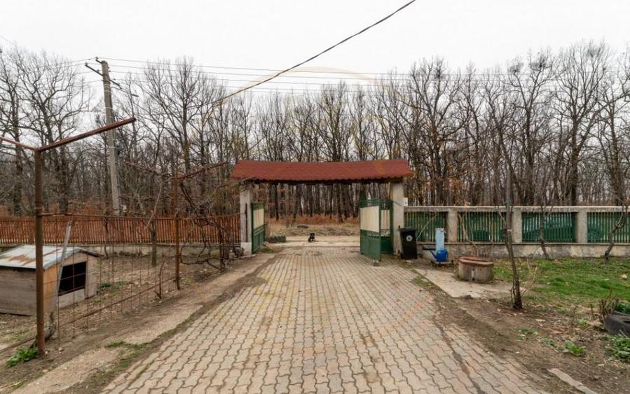 0% Comision !! CASA CU LAC SI PRIVELISTE SUPERBA SPRE PA - 3