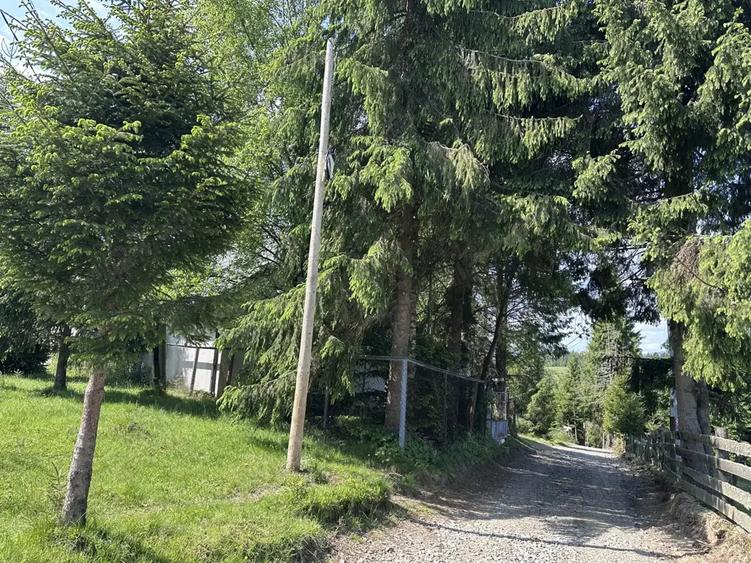 Persona fizica vand cabana cu teren la Beli? - 7