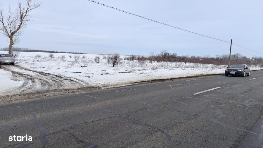 INCHIRIEZ TEREN FRUMUSANI - 2