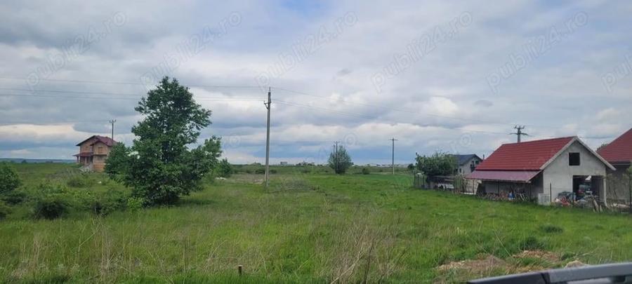 Teren intravilan 3600 mp Dumbrava Rosie 2 drumuri acces - 4