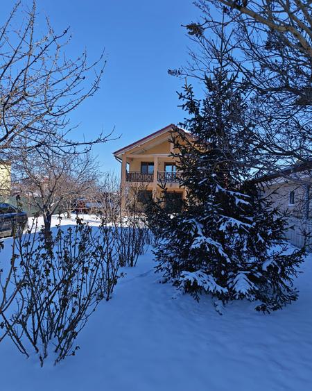 Vilă individuală de vânzare în Berceni, Ilfov – Bd. 1 Mai - 5 camere, teren 705 - 18