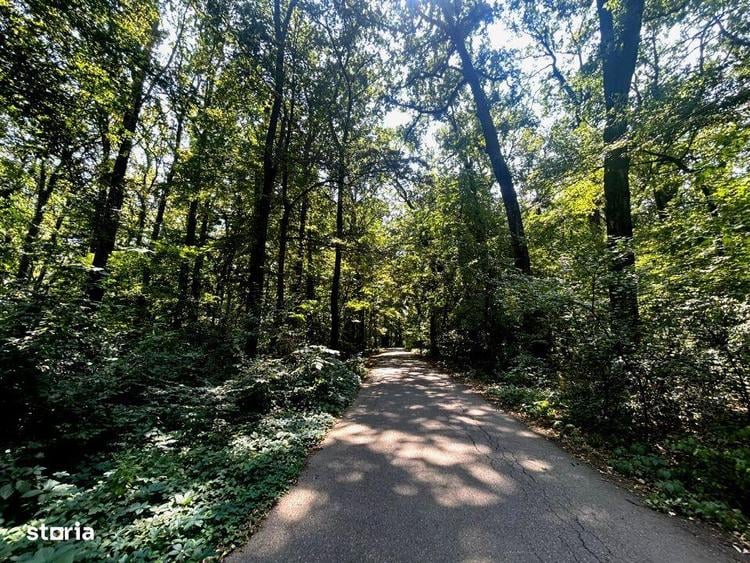 Teren de Vis pe malul lacului Snagov / 4000 mp in inima Naturii /40 m - 6