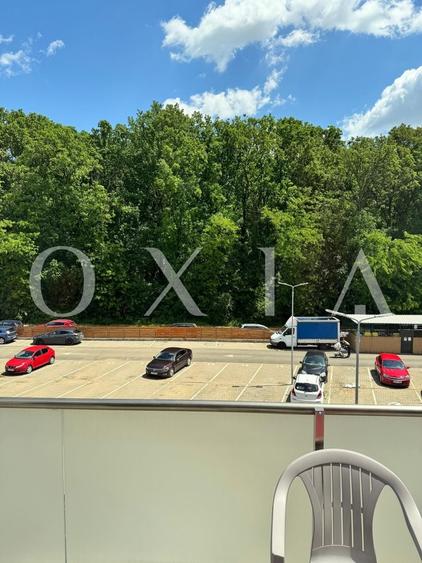 SX597 Dumbravita, Padure (Kaufland), Ideal Investitie - 8