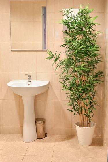 Spatiu de birou 250 MP | Piata Romana | Dacia - 10