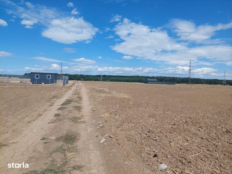 Teren In Balotesti ,str Orhideelor Zona in plina dezvoltare. - 5