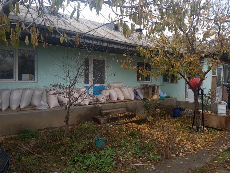 Casa batraneasca, 1000 mp, la 14 km de oras - 3