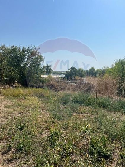 Teren de vanzare / 2,500 mp pe Malul Lacului Tancabesti /Ilfov - 11