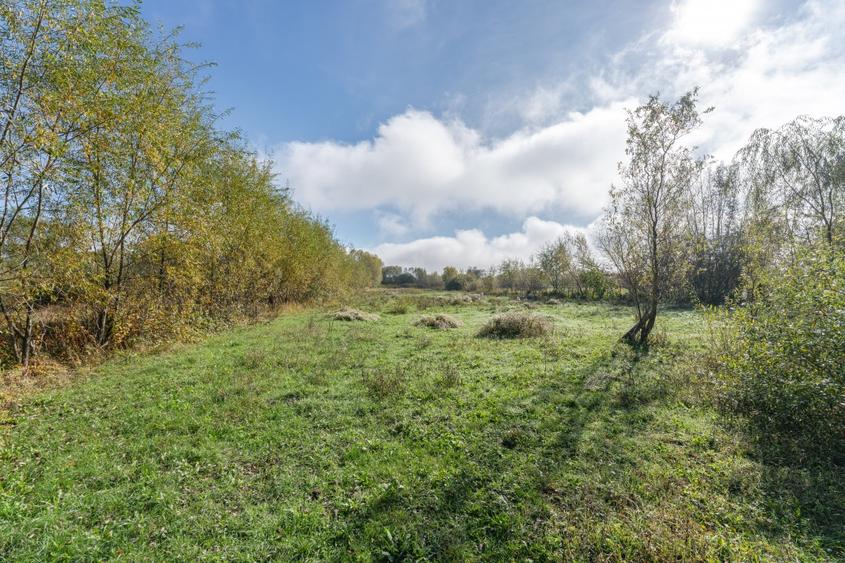 Proprietate rara in Covasna - liniste, spatiu si potential de investitie - 45