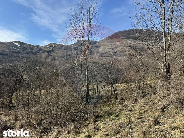 Casa din piatra la poalele Bedeleului Izvoarele, Alba - 13