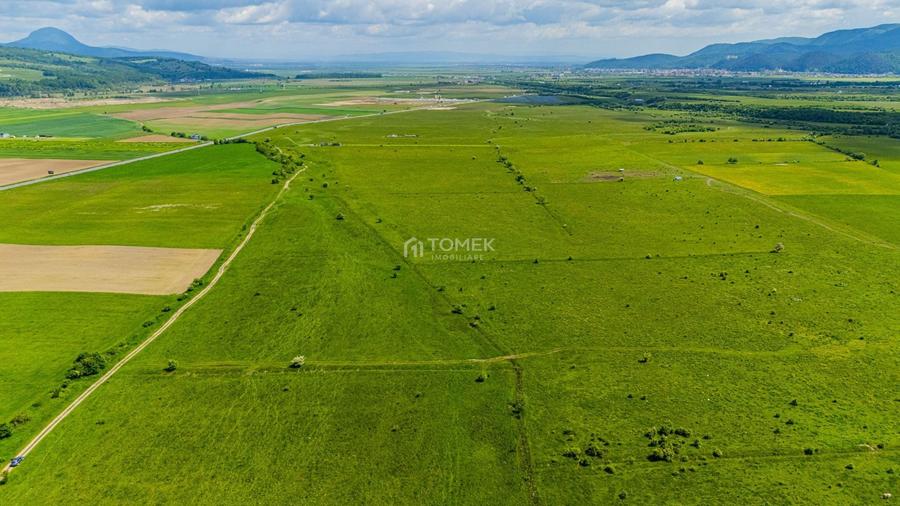 Teren agricol extravilan de 5800 mp, în Tohanu Nou