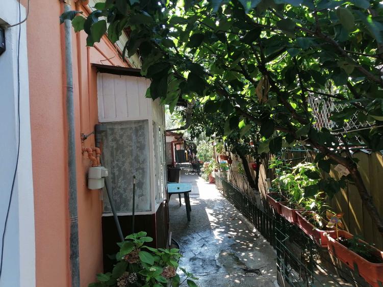 Casa si teren 266 mp Viilor Marius Nasta -Parc Carol - 7
