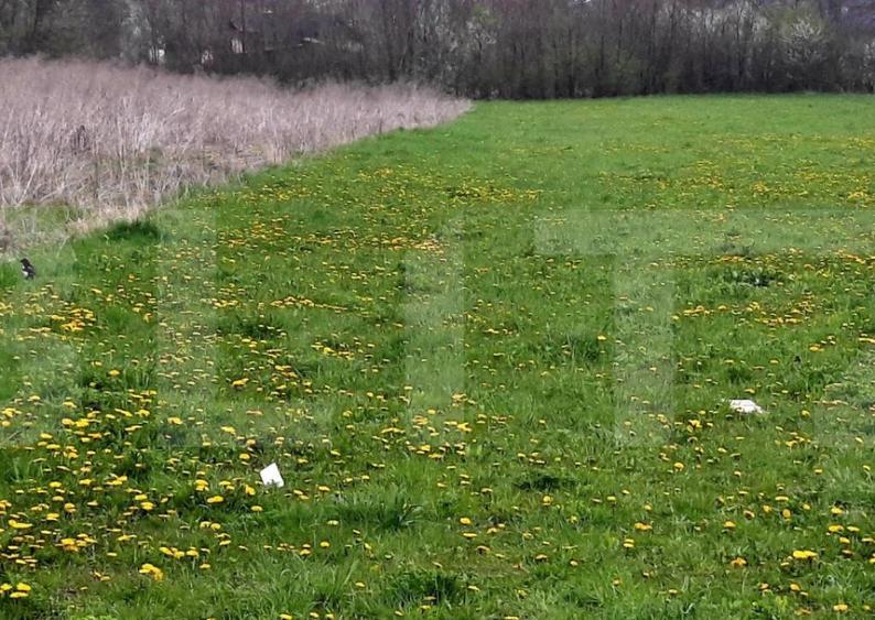 Teren intravilan 365mp,cu Puz aprobat prin HCL,in Borhanci - 2