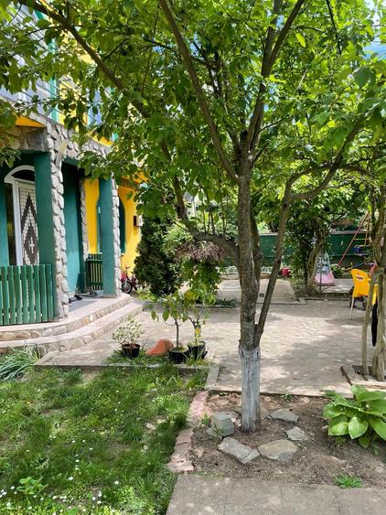 Casa 8 Camere Snagov (INCHIRIERE 2500 EURO) - 7