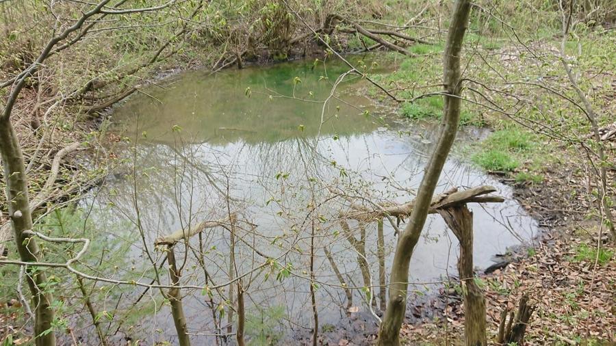 Teren de vanzare la munte valea bozumului - 2