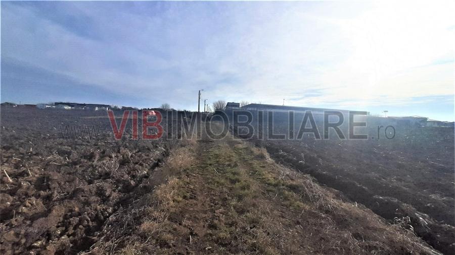 Otopeni - Strada Alexandru Ioan Cuza - 8