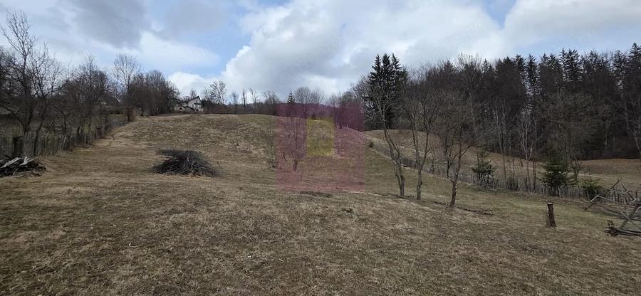Teren de 2500 mp, în Valea Doftanei