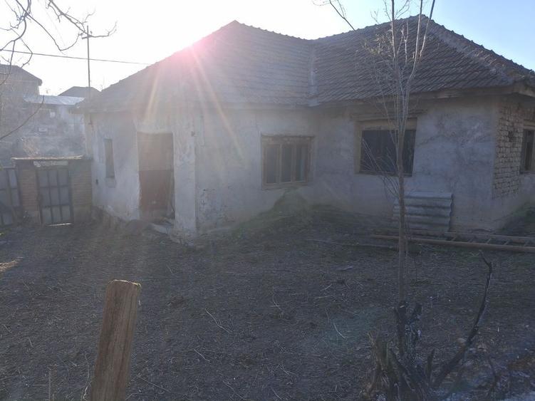 Casă cu 3 camere cu Teren 1400 Mp în Vintere