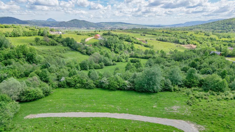Teren Construcții intravilan de 500 mp, în Tohănița