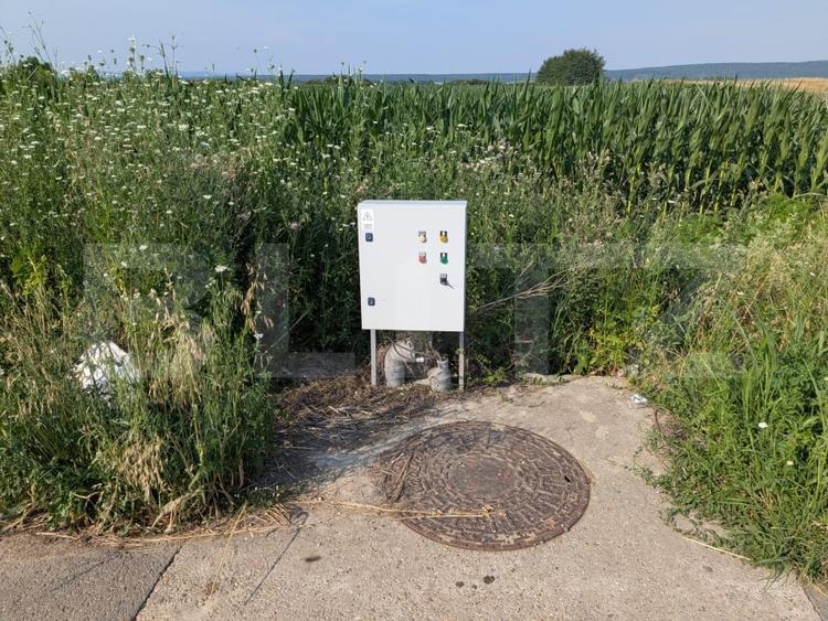 Teren Construcții intravilan de 3000 mp, în Comișani