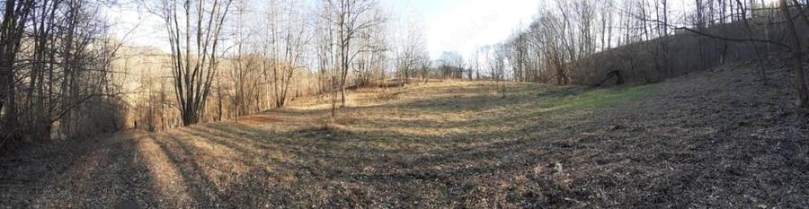 Teren de 4750 mp, în Provița de Sus