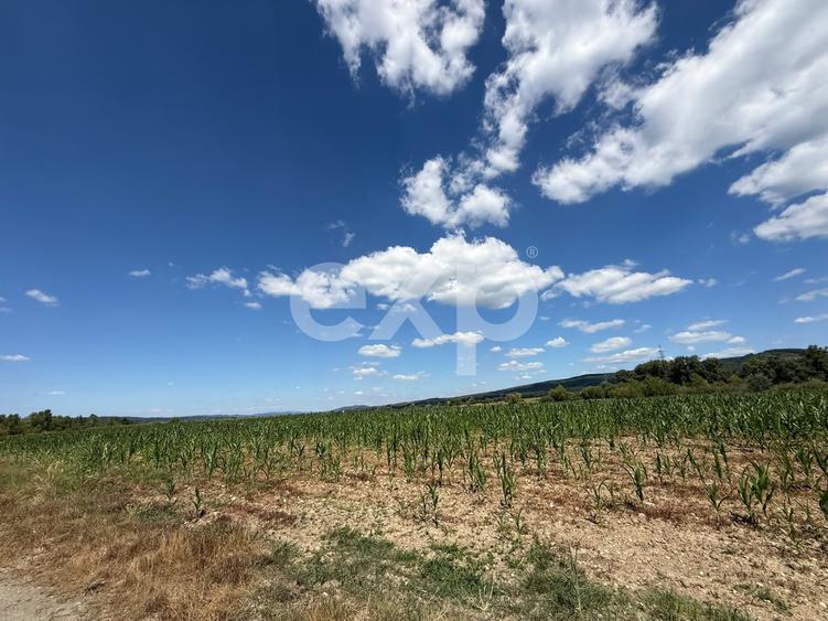 Teren agricol extravilan de 14000 mp, în Budeasa