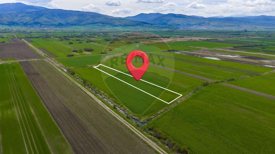 Teren agricol extravilan de 4000 mp, în Stupinii Prejmerului