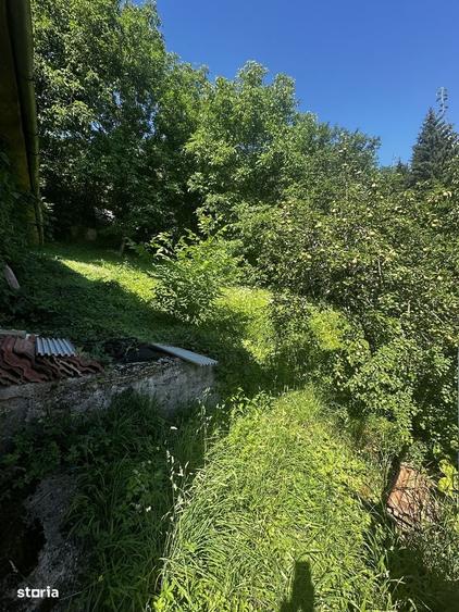 Casă cu 3 camere cu Teren 1124 Mp în Central