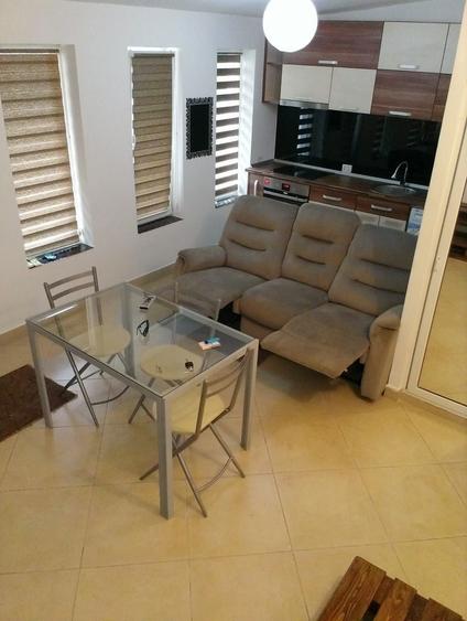 Apartament 1 camera de inchiriat - 3