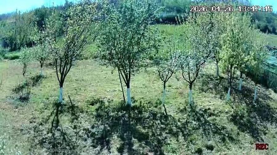 vanzare casa ?i teren la ?ara - 7