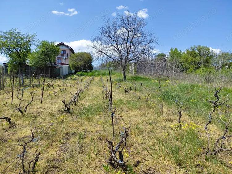 Teren intravilan 3.250 mp in File?ti Ideal pentru casa sau investi?ie! - 14