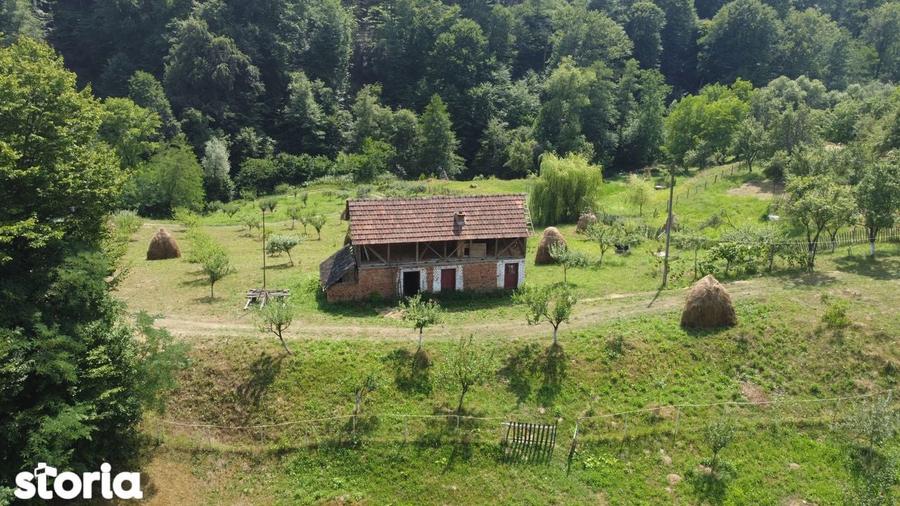 Teren de vanzare in comuna Cicane?ti, sat Bara?ti, Judet Arges. - 6
