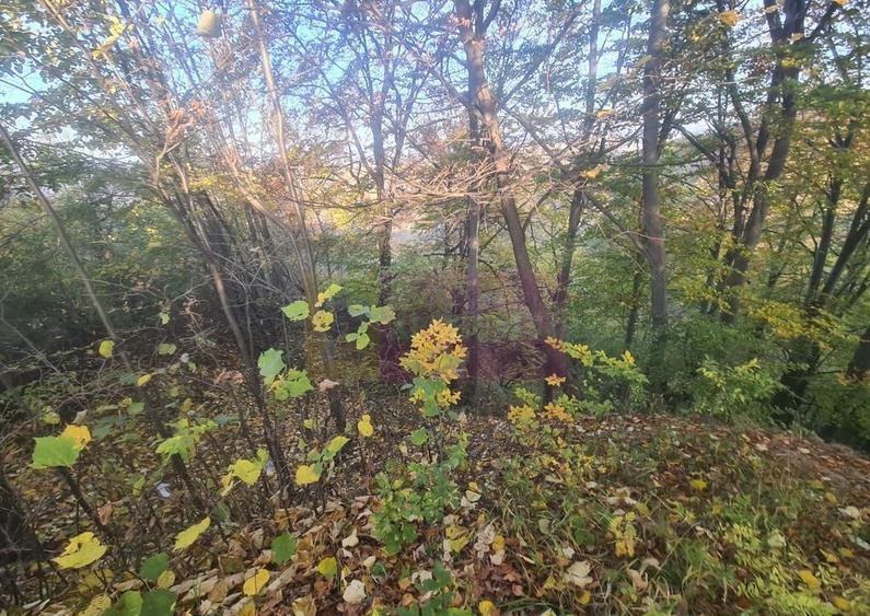 Teren intravilan de vanzare in Telega - 6