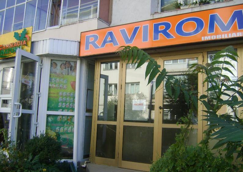 Parava, sat Dragusani, teren 4800mp, la asfalt - 22