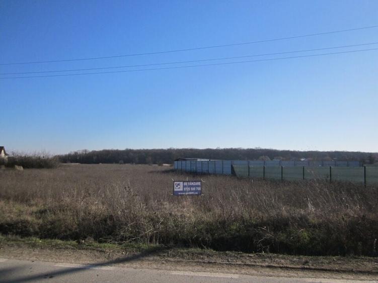 Teghes-Padurarului - 5