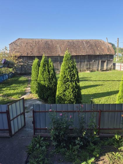 Casa de vanzare in Craiesti - 4