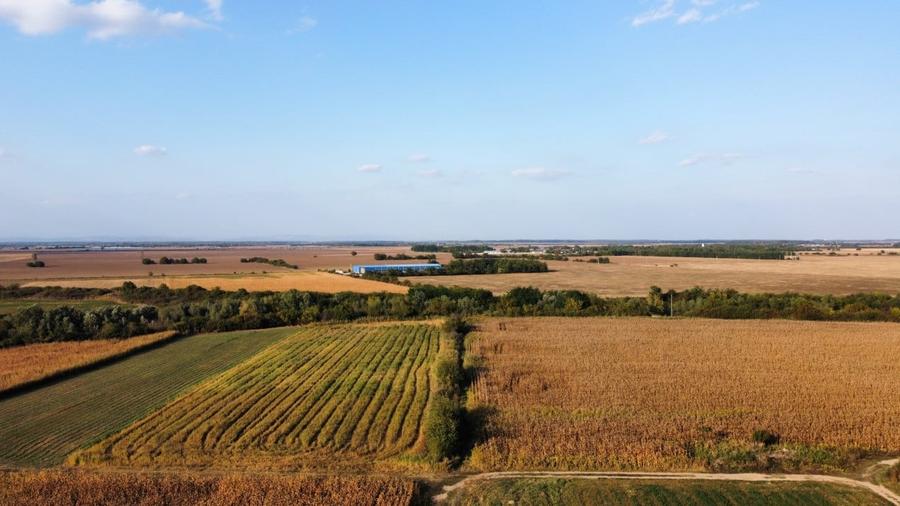 Teren rezidential retras langa lac SNAGOV in Silistea Snagovului, DN1, A3 - 2