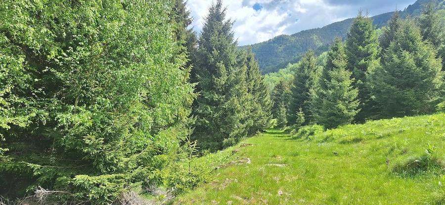 Teren de 300 mp, în Râu de Mori