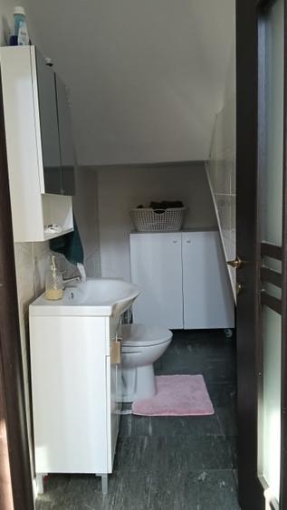 Duplex de vanzare zona Terra - 10