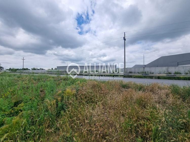 OVIDIU (COD 02)  - teren extravilan 4000 mp - 6