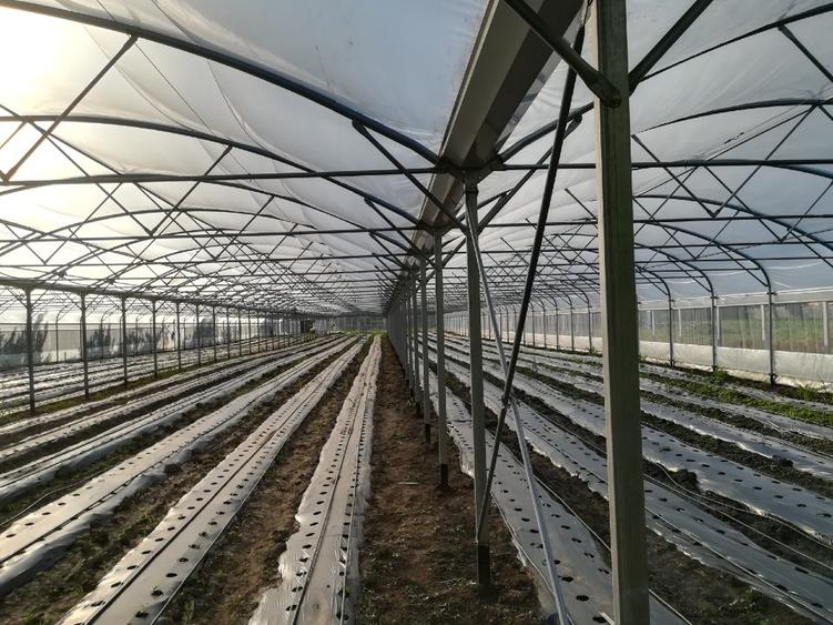 De vanzare sera legume spatiu de depozitare si utilaje agricole - 9