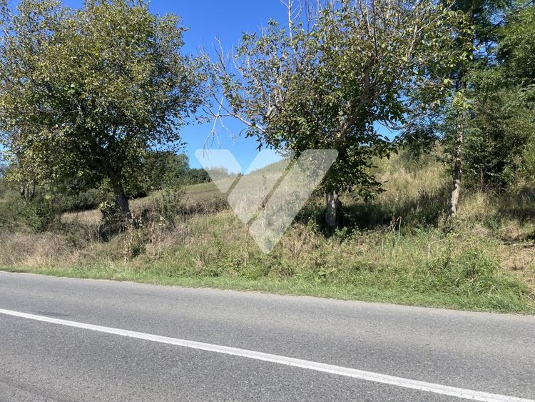 Teren intravilan cu PUZ aprobat 1300 mp - 17 km de Sibiu - 4