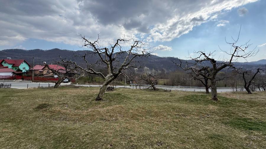 Teren intravilan + extravilan 9844 mp, Malu cu Flori, jud Dambovita - 7