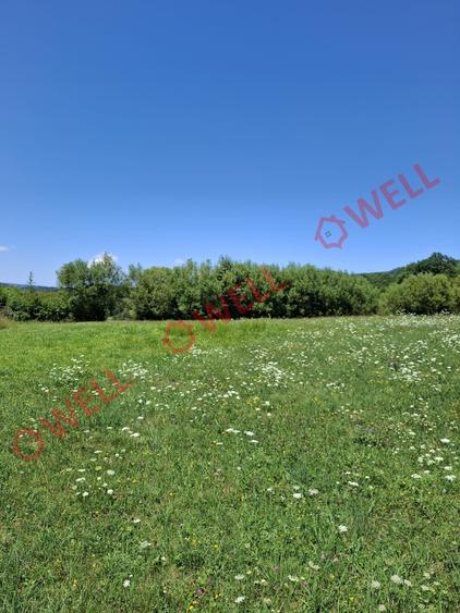 De vânzare teren intravilan de 7.600 m² situat în Sovata, pe strada Alunei (Mogy - 6