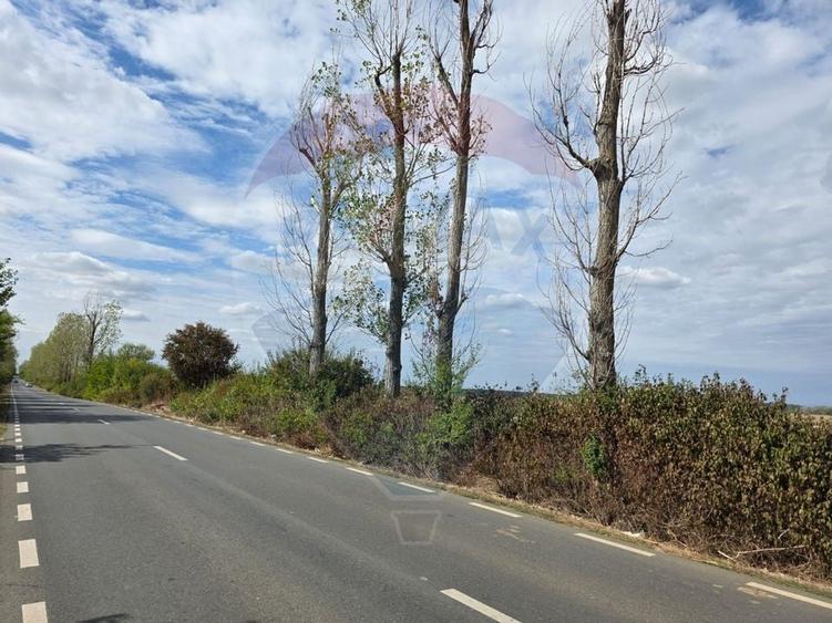 Teren 5000 mp deschidere Sos. Silistea Ciolpani - 1