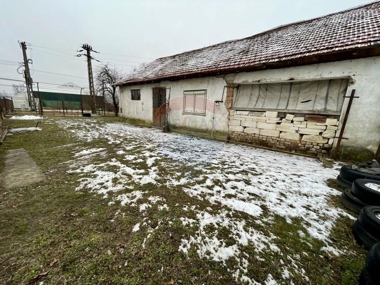 Oază de liniște în Nedelea: 1247 mp cu deschidere de 61 ml - 3